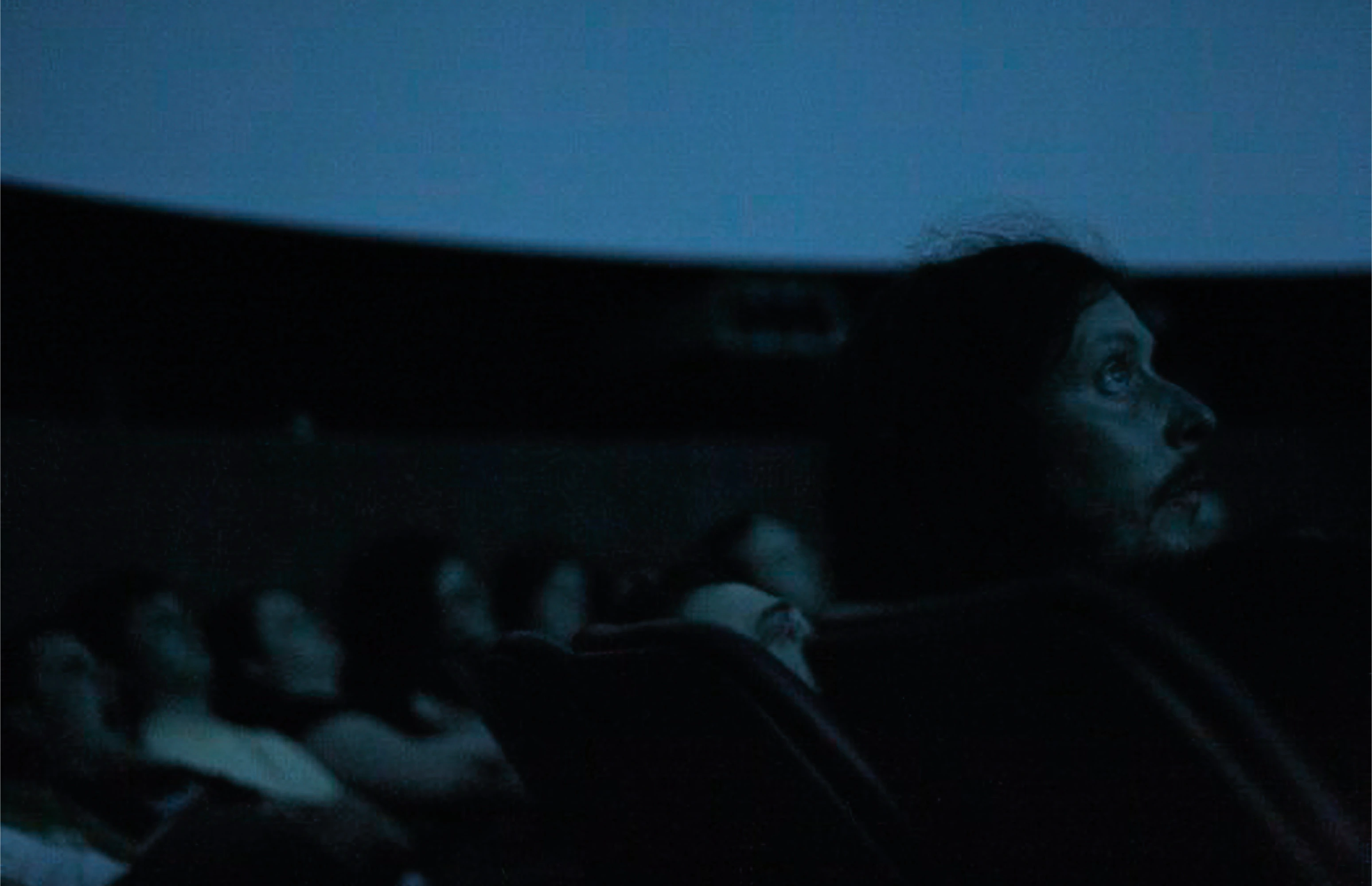 Staerkel Planetarium, Champaign, USA